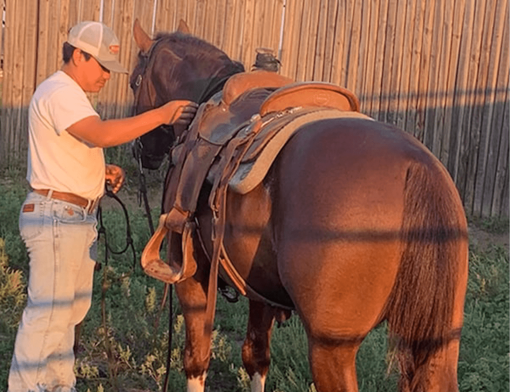 Taking Care Of Racing Barrel Horses