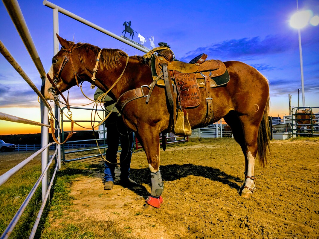 Equine Assisted Activities and Therapy at Koehn Ranch